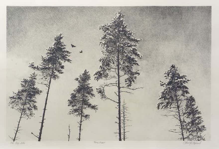 Ingen tittel av Lars Øyvind Hopland